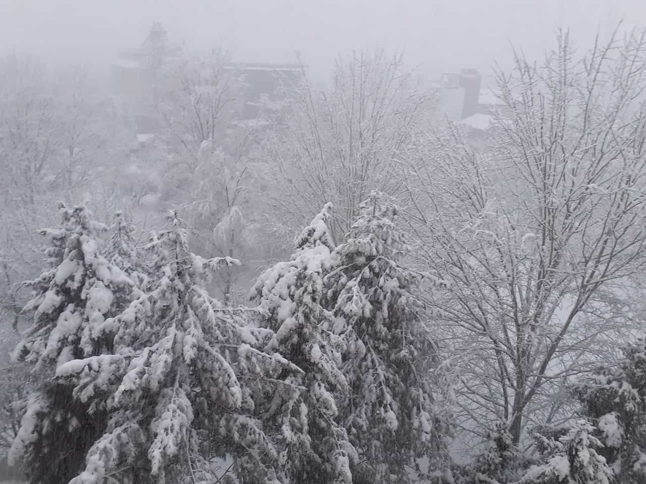 2021 01 02 a - METEO: l’evento NEVOSO del 28 dicembre 2020. Un episodio da INVERNI DI UNA VOLTA