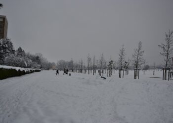 2021 01 02 b 350x250 - METEO DIDATTICA: Quando nevica BENE in LOMBARDIA. Le condizioni