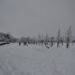 2021 01 02 b 75x75 - METEO: nuove bellissime nevicate in Lombardia! Vi mostriamo le foto