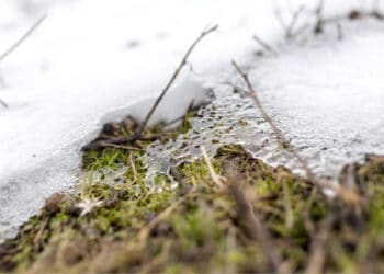 neve sciolta 350x250 - METEO DIDATTICA: Quando nevica BENE in LOMBARDIA. Le condizioni