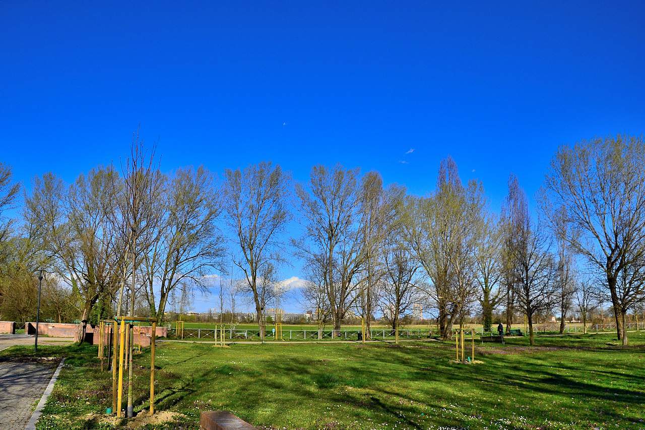 03 25 scoppia la primavera 2 - METEO: ecco la PRIMAVERA! Vediamo qualche immagine