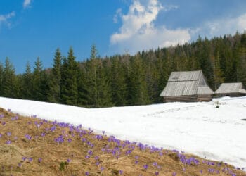 freddo aprile 350x250 - METEO: i primi 10 giorni di FEBBRAIO molto PIOVOSI