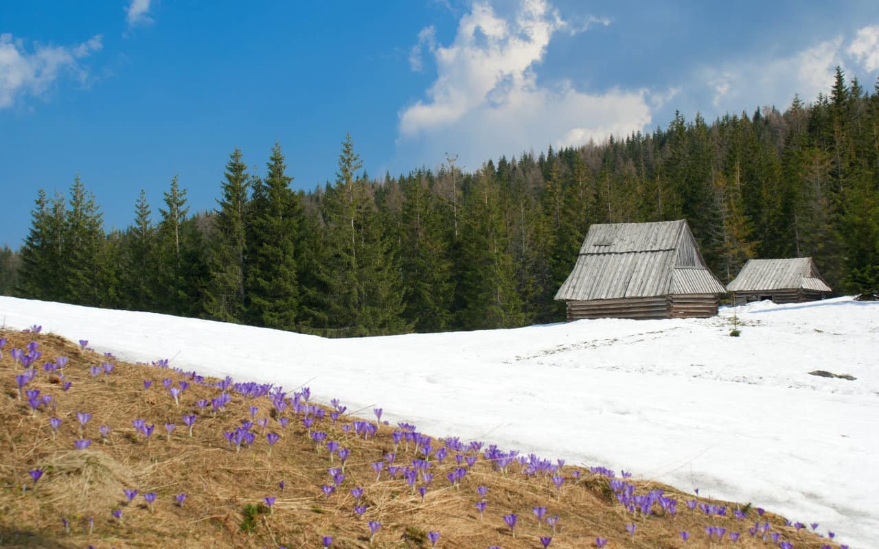 freddo aprile - METEO: continua a fare freddo per essere aprile! I motivi