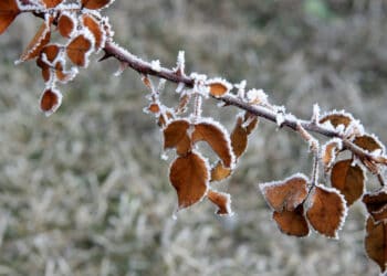 gelata 350x250 - METEO CRONACA: ecco una buona PERTURBAZIONE! La prima dopo diverse settimane
