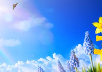 primavera altalenante 350x250 - METEO CRONACA: ecco una buona PERTURBAZIONE! La prima dopo diverse settimane