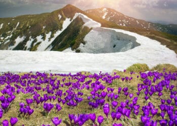 freddo maggio 350x250 - METEO CRONACA: ecco una buona PERTURBAZIONE! La prima dopo diverse settimane