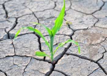 giugno secco 350x250 - METEO CRONACA: ecco una buona PERTURBAZIONE! La prima dopo diverse settimane