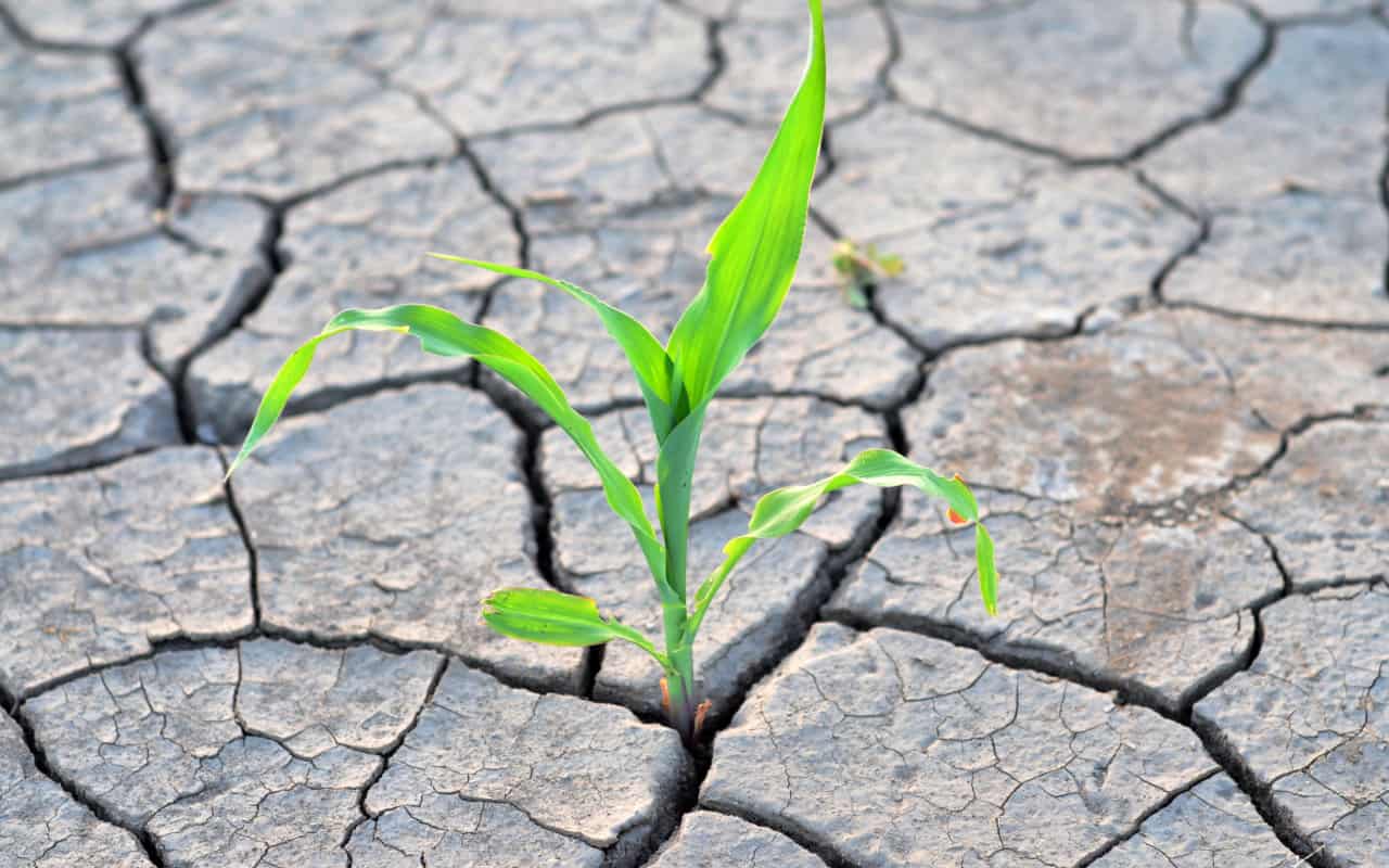 giugno secco - METEO: troppe POCHE PIOGGE, è un giugno SECCO