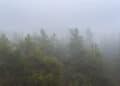 Nebbia 120x86 - Meteo Lombardia 10 giorni: tempo incerto e temporali, caldo normale