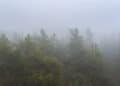 Nebbia 120x86 - Meteo Lodi domani molto nuvoloso, poi quasi sereno, ventoso a tratti