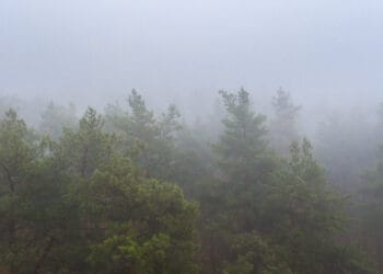 Nebbia 350x250 - Meteo Lombardia: inizia la stagione dello Stau. Vediamo cos'è