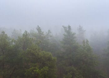 Nebbia 350x250 - Meteo Lombardia: inizia la stagione dello Stau. Vediamo cos'è