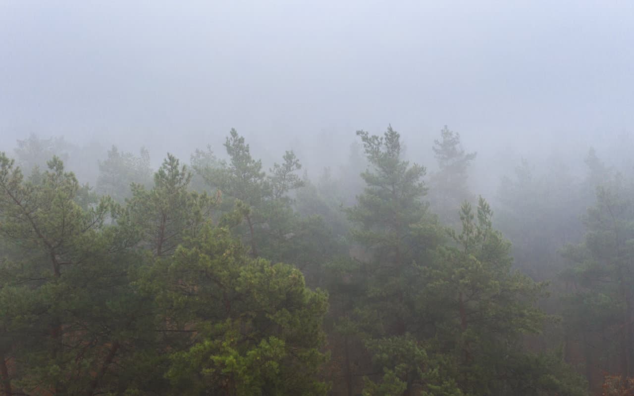 Nebbia - METEO DIDATTICA: in Lombardia si formano TRE TIPI DI NEBBIE. Vediamo i dettagli