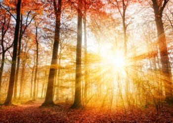 autunno caldo 350x250 - Meteo LOMBARDIA: il ritorno della Neve, dati, previsioni. Anomalie acute