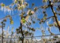 gelo Valtellina lombardia 120x86 - Previsioni meteo Cremona: pioggia e nuvole in arrivo, seguite da foschia leggera