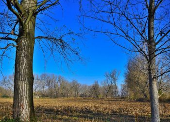 meteo:-la-bellezza-della-campagna-invernale-in-lombardia.-foto