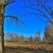 meteo:-la-bellezza-della-campagna-invernale-in-lombardia.-foto