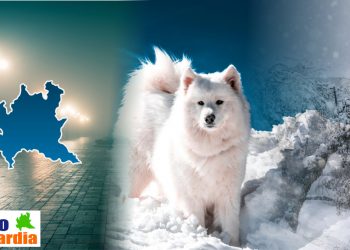 meteo lombardia nebbia gelo caldo montagna 350x250 - Meteo LOMBARDIA: il ritorno della Neve, dati, previsioni. Anomalie acute