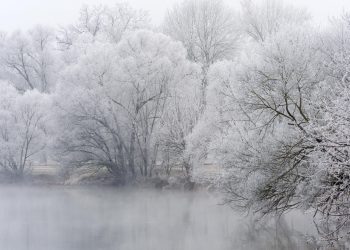 meteo 07280 350x250 - A Bergamo meteo ventoso lunedì come tutta la Lombardia. Ci sarà un cambiamento, con varie novità
