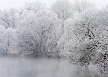 meteo 07280 350x250 - Meteo LODI, freddo da inversione termica. Seguirà aria fredda. Nevicherà?