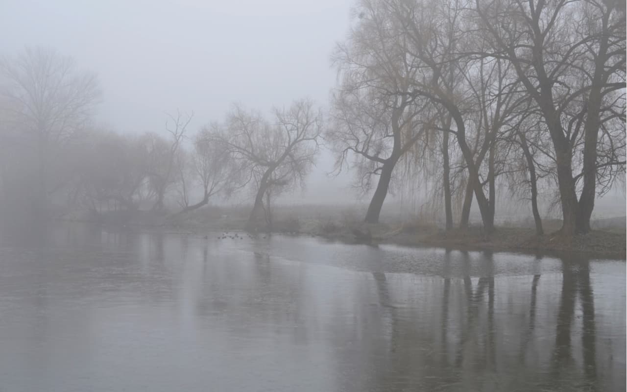 nebbia e umido lombardia - METEO: ATTENZIONE alle NEBBIE in Lombardia! I rischi