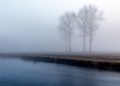 nebbia lombardia