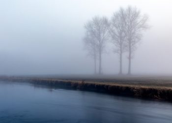 nebbia lombardia