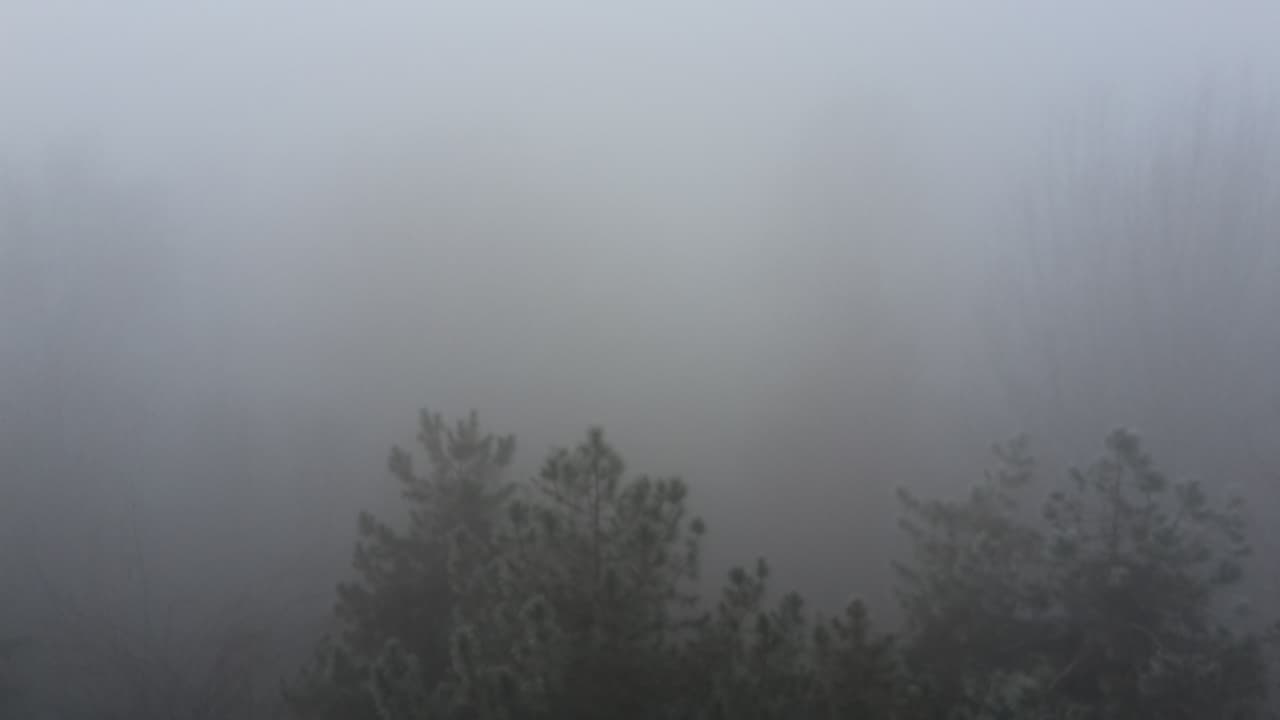 nebbia milano 1 - Meteo Lombardia: Val Padana un pantano, umidità, gelo, nebbie. Qui è Inverno. Video