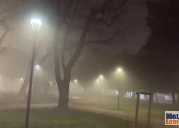 Meteo LOMBARDIA, nebbia fittissima. In pianura visibilità zero. Video