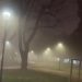 Meteo LOMBARDIA, nebbia fittissima. In pianura visibilità zero. Video