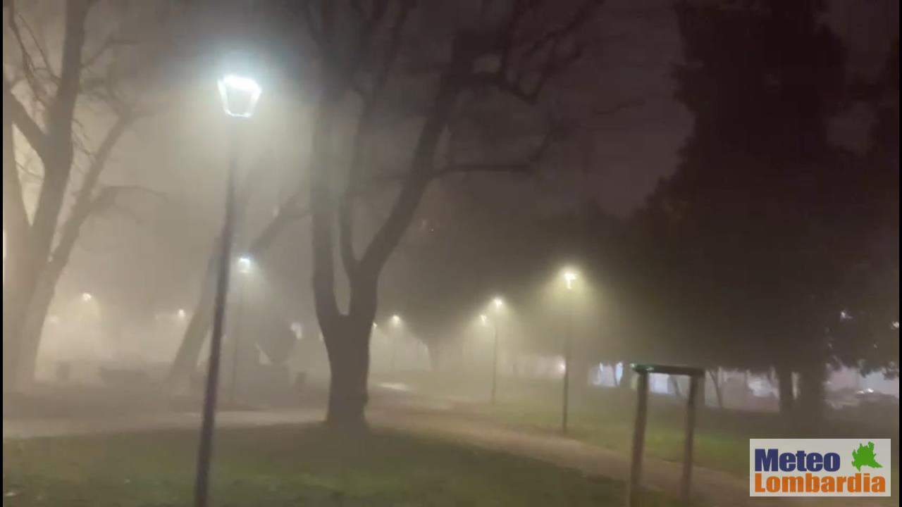 Meteo LOMBARDIA, nebbia fittissima. In pianura visibilità zero. Video