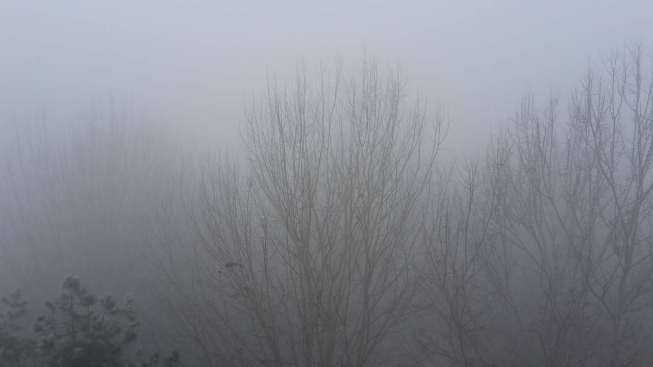 nebbia - Meteo Lombardia: Val Padana un pantano, umidità, gelo, nebbie. Qui è Inverno. Video