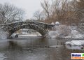 meteo 10863 120x86 - Meteo Pavia: domani nuvoloso, seguito da nubi sparse