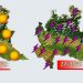 meteo lombardia caldo e temporali xhgag8 h 75x75 - Meteo LOMBARDIA: piogge e temporali come non succedeva da tanto tempo