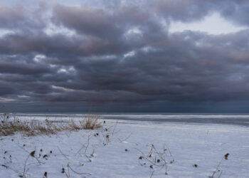meteo:-la-prossima-settimana,-immediata-perturbazione-seguita-da-freddo-russo meteo:-la-prossima-settimana,-immediata-perturbazione-seguita-da-freddo-russo
